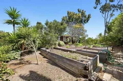 Exterior - 149 Beechtree Dr, Encinitas, CA 92024 photo 16 of 22