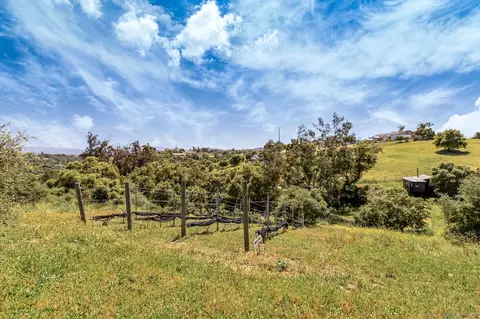 2313 La Tara Ln, Fallbrook, CA 92028 photo 28