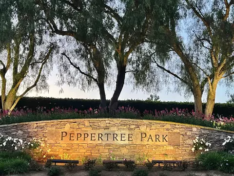 585 Inverlochy Dr, Fallbrook, CA 92028 photo 38