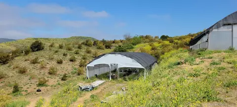 962 Rice Canyon Rd, Fallbrook, CA 92028 photo 15