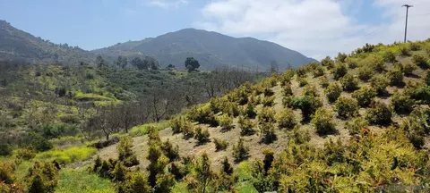 962 Rice Canyon Rd, Fallbrook, CA 92028 photo 13