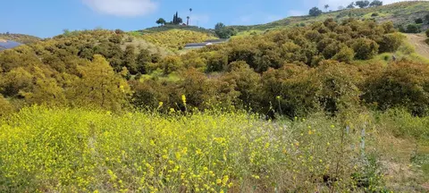 962 Rice Canyon Rd, Fallbrook, CA 92028 photo 17