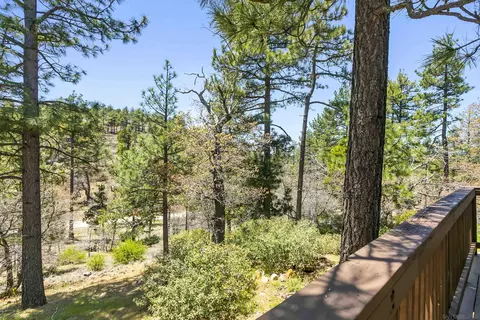 527 El Centro Tract, Mount Laguna, CA 91948 photo 19