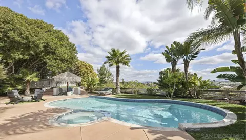 13557 Mango Dr, Del Mar, CA 92014 photo 18