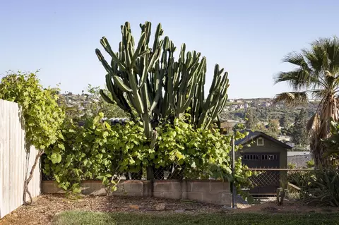 Exterior - 4701 Lee Ave, La Mesa, CA 91942 photo 5 of 10