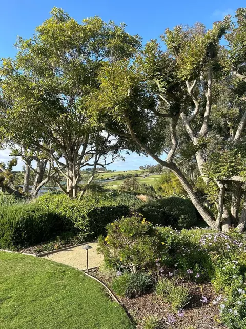675 Quail Gardens Ln, Encinitas, CA 92024 photo 5