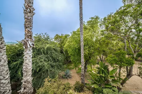 3861 Palomar Dr, Fallbrook, CA 92028 photo 45