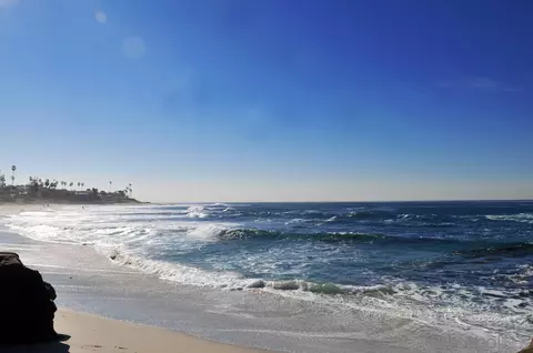 5651 Ladybird Ln, La Jolla, CA 92037 photo 23