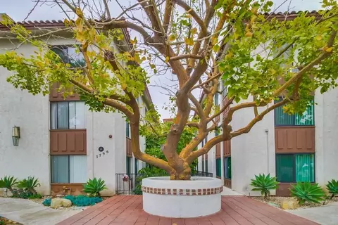 3776 Alabama St #313, San Diego, CA 92104