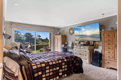 7648 Caminito Coromandel, La Jolla, CA 92037 photo 34