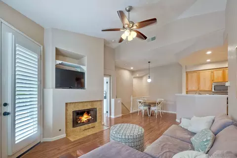 581 Silver Berry Pl, Encinitas, CA 92024 photo 4