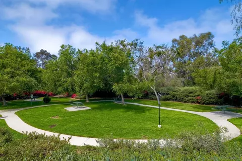 581 Silver Berry Pl, Encinitas, CA 92024 photo 24