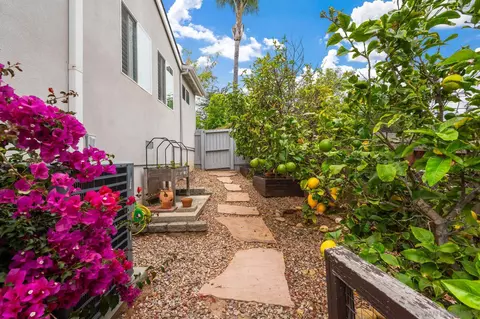 4228 Calavo Dr, La Mesa, CA 91941 photo 31