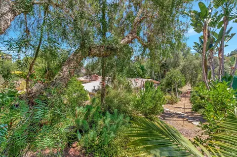 Exterior - 4333 Date Ave, La Mesa, CA 91941 photo 10 of 12