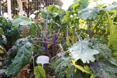 Other - 13435 E Los Coches Rd, El Cajon, CA 92021 photo 6 of 7