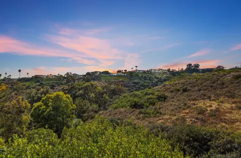5990 Sagebrush, La Jolla, CA 92037 photo 21