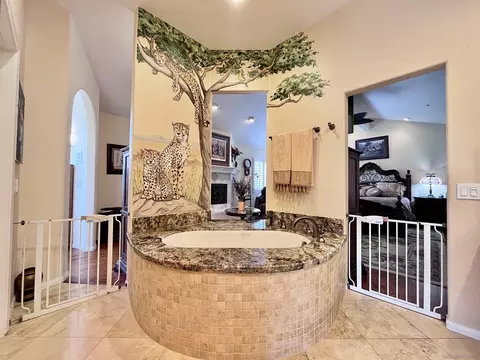 9798 Crimson Fire Ct, La Mesa, CA 91941 photo 32