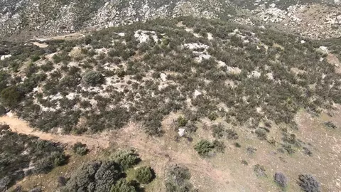 000 La Posta Rd #08, Campo, CA 91906 photo 14