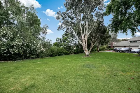 8020 Caminito Gianna, La Jolla, CA 92037 photo 31