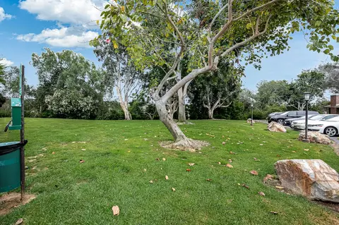 8020 Caminito Gianna, La Jolla, CA 92037 photo 32