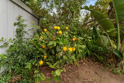 1808 Hunsaker St, Oceanside, CA 92054 photo 23