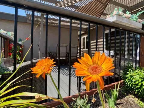 Exterior - 3865 Shirlene Pl, La Mesa, CA 91941 photo 7 of 13
