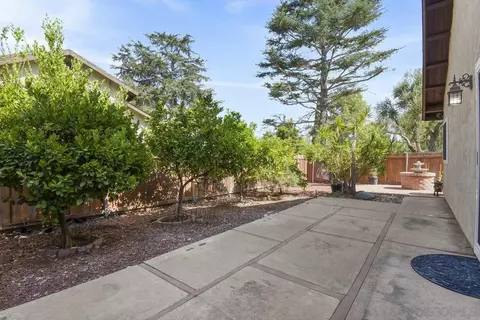 10139 Canyonridge Pl, Spring Valley, CA 91977 photo 23