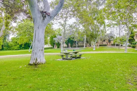 8137 Via Mallorca, La Jolla, CA 92037 photo 47