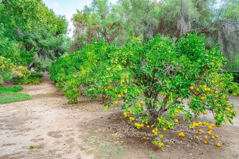 9 Country Glen Rd, Fallbrook, CA 92028 photo 67