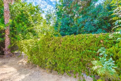 664 Schafer Pl, Escondido, CA 92025 photo 56