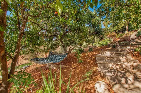 3333 Ryan Dr, Escondido, CA 92025 photo 32