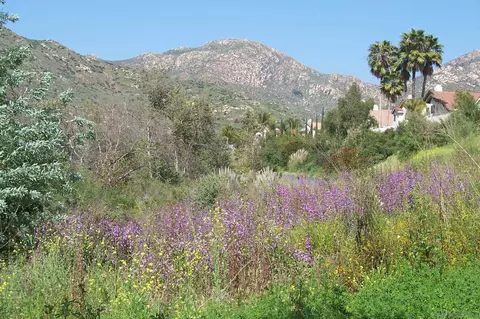 15763 Quiet Valley Ln, Poway, CA 92064 photo 35