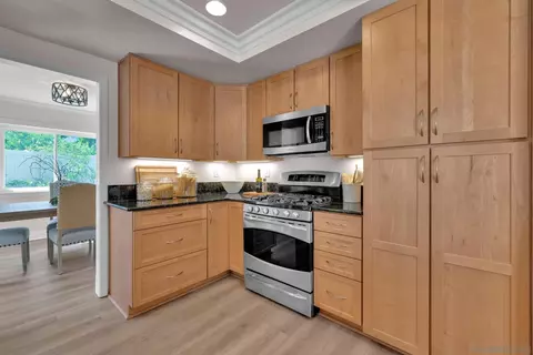 1611 Clearwater Pl, Encinitas, CA 92024 photo 11