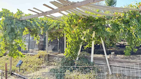 Exterior - 2602 La Posta Rd, Campo, CA 91906 photo 7 of 8