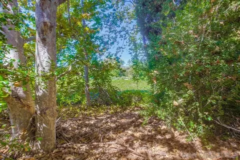 Exterior - 2231 Creekview Ln, Fallbrook, CA 92028 photo 16 of 17