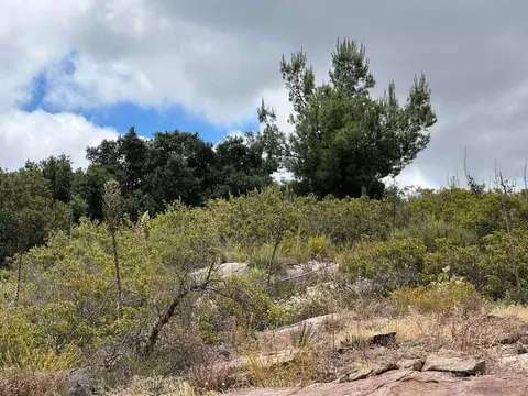 oak canyon rd, Poway, CA 92064 photo 35