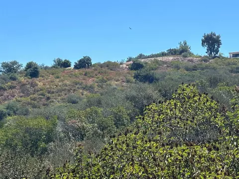 oak canyon rd, Poway, CA 92064 photo 39