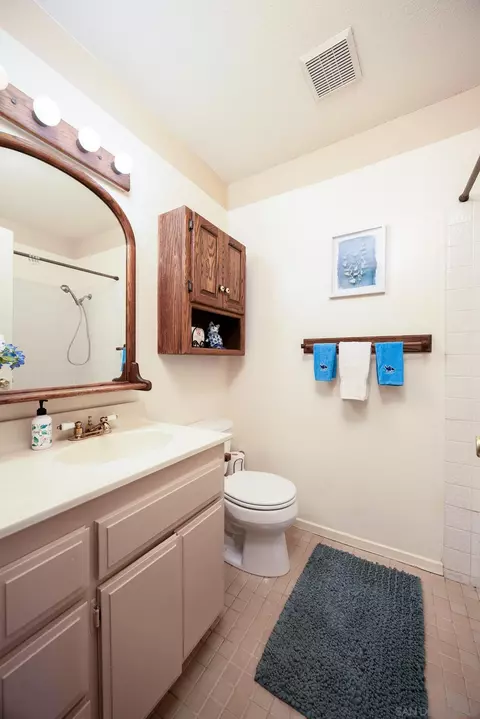 10048 Chavacan Ln, Spring Valley, CA 91977 photo 19