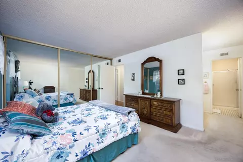 10048 Chavacan Ln, Spring Valley, CA 91977 photo 15