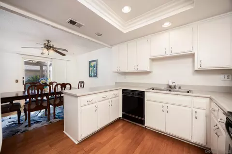 10048 Chavacan Ln, Spring Valley, CA 91977 photo 11