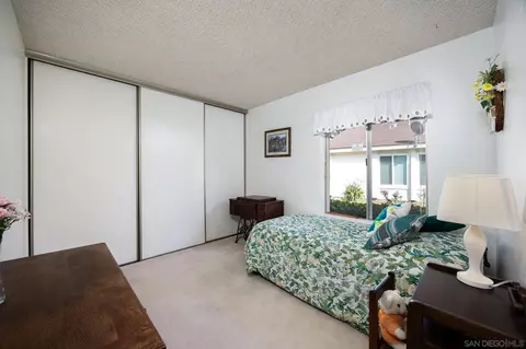 10048 Chavacan Ln, Spring Valley, CA 91977 photo 20