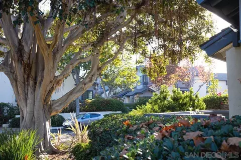 3155 Morning Way, La Jolla, CA 92037 photo 32