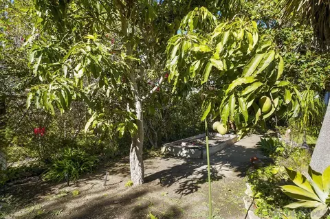 Exterior - 417 Loma Larga Dr, Solana Beach, CA 92075 photo 6 of 11
