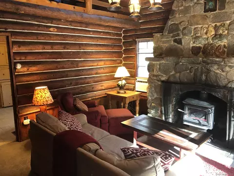 Living - 1474 Betty St, Wrightwood, CA 92397 photo 1 of 11
