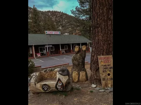 Other - 1474 Betty St, Wrightwood, CA 92397 photo 2 of 21