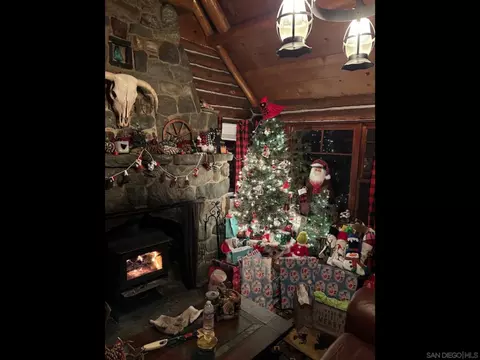 Living - 1474 Betty St, Wrightwood, CA 92397 photo 11 of 11