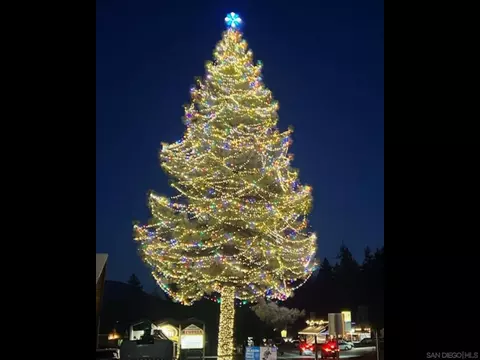 Other - 1474 Betty St, Wrightwood, CA 92397 photo 21 of 21