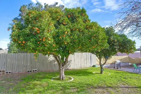 725 W College St, Fallbrook, CA 92028 photo 31