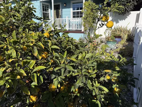 506 S Freeman, Oceanside, CA 92054 photo 17