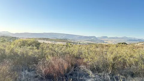 0 Forrest Gate Rd #0, Campo, CA 91906 photo 14